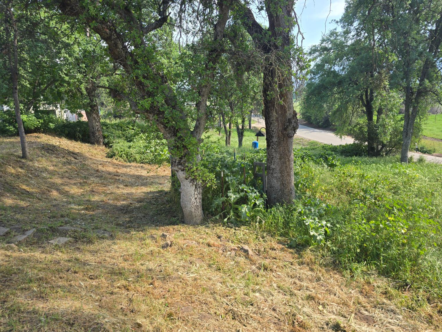 40210 Millwood Rd, Dunlap, CA 93621