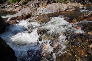 40 Trimmer Springs Rd, Miramonte, CA 93657