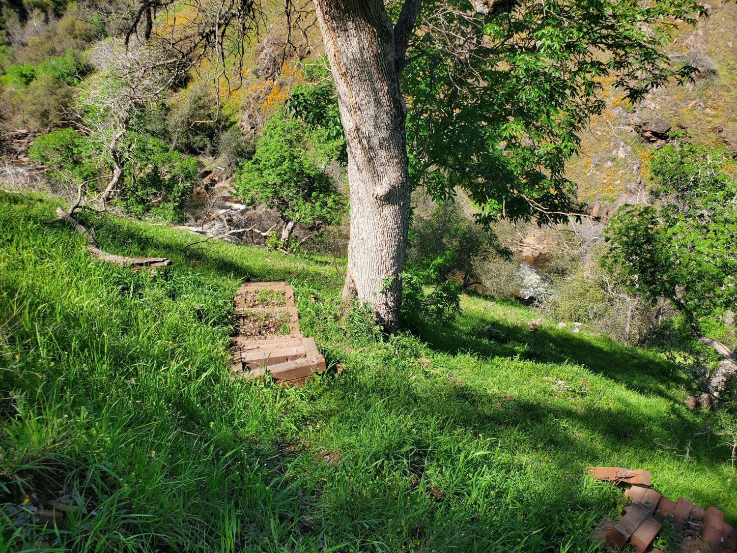 40 Trimmer Springs Rd, Miramonte, CA 93657