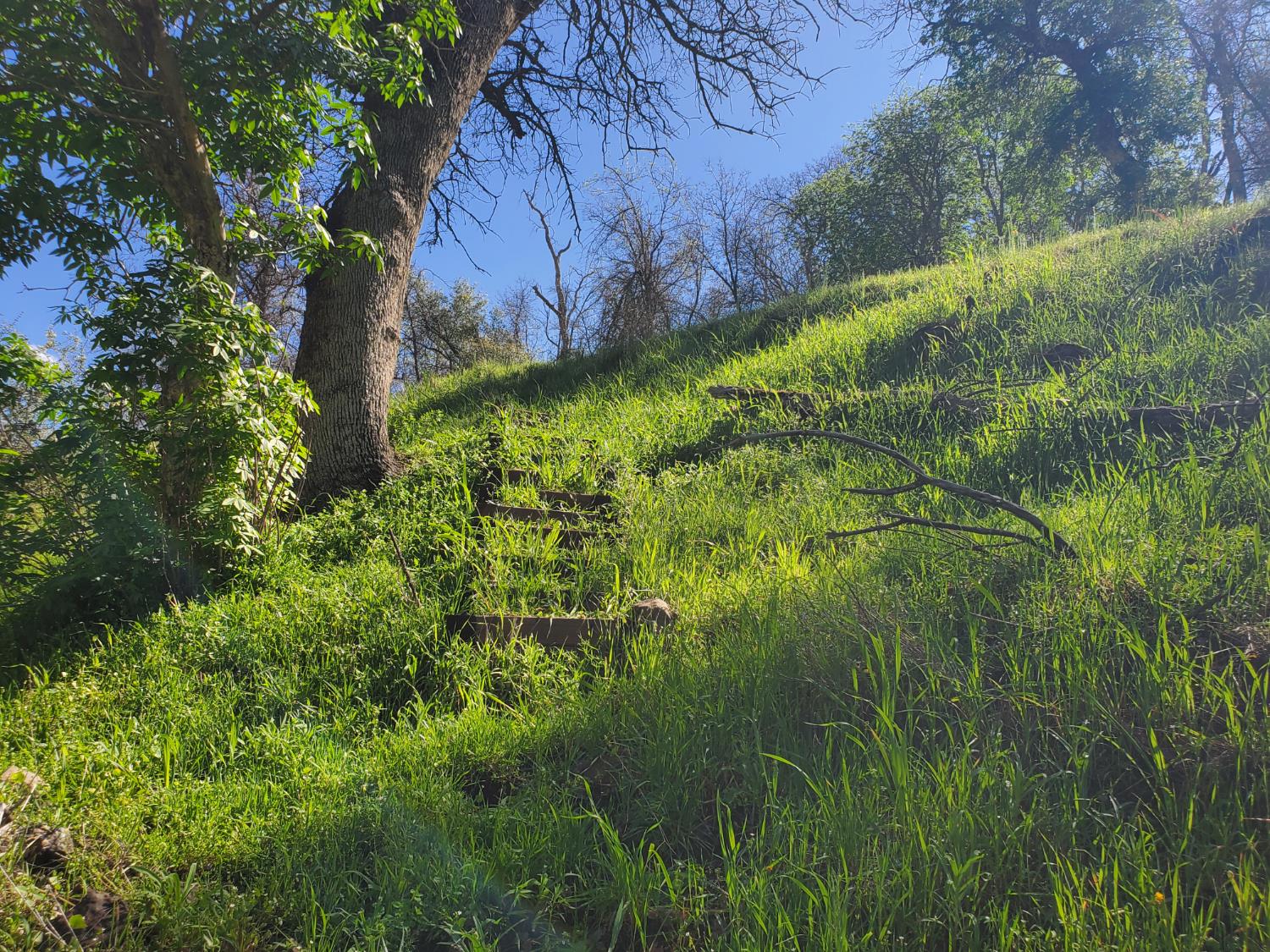 40 Trimmer Springs Rd, Miramonte, CA 93657