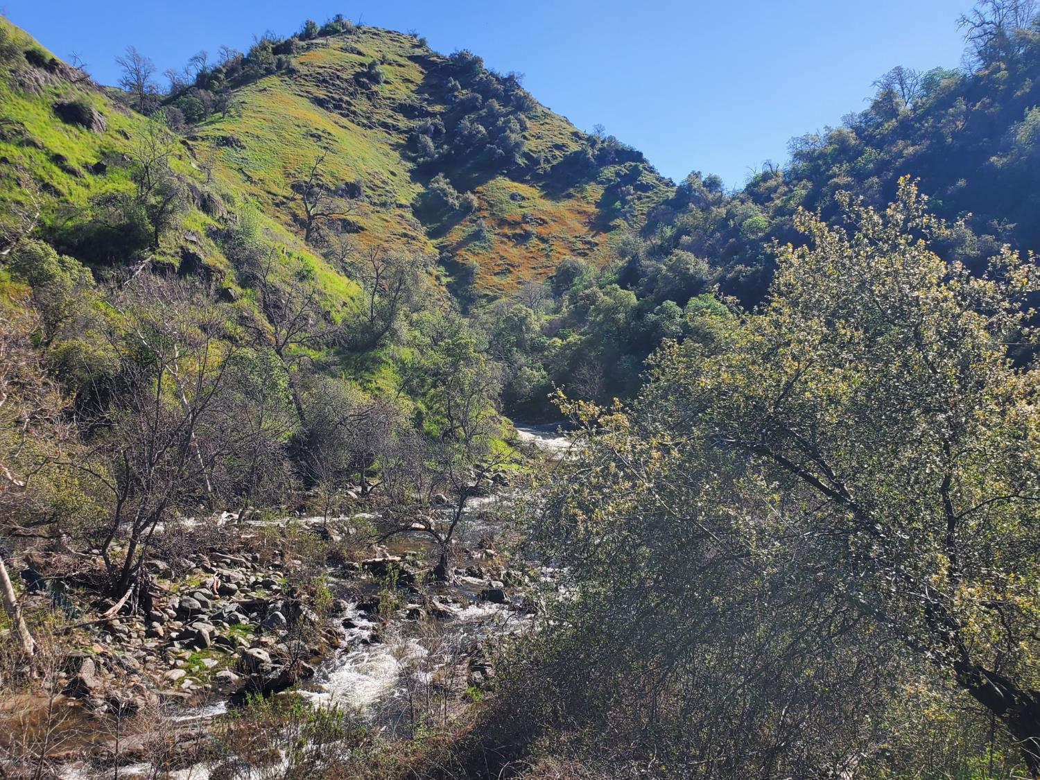 40 Trimmer Springs Rd, Miramonte, CA 93657