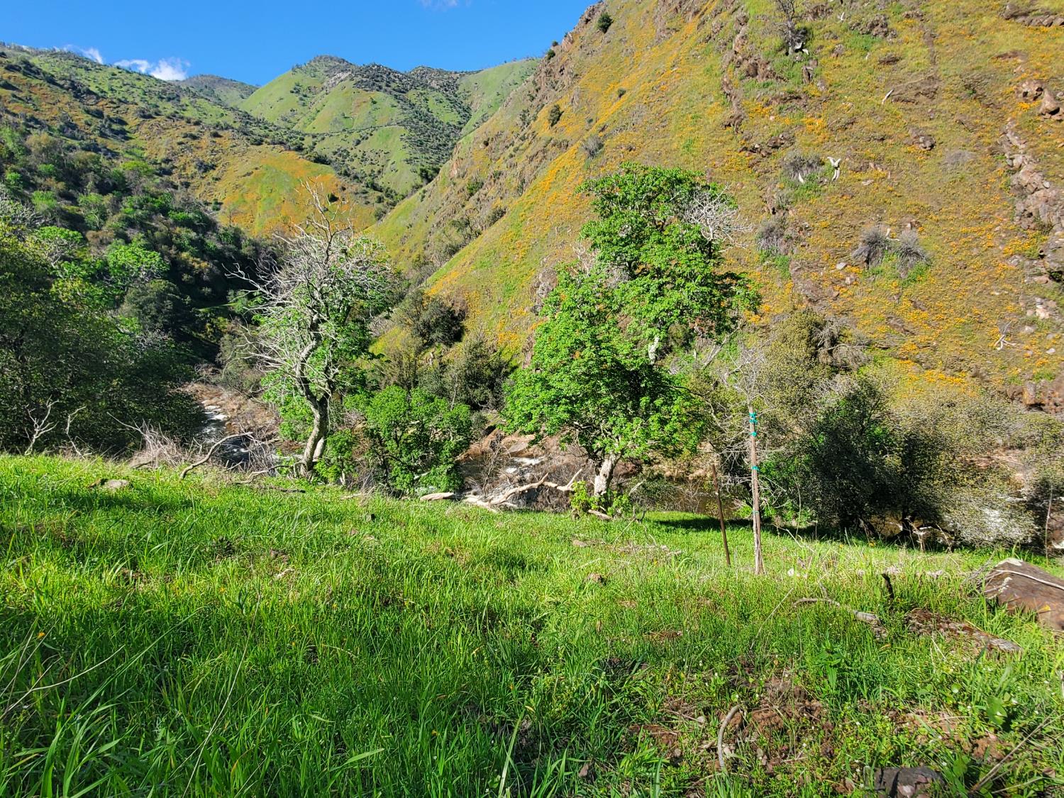 40 Trimmer Springs Rd, Miramonte, CA 93657