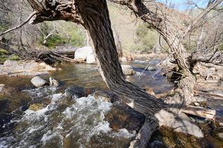 40 Trimmer Springs Rd, Miramonte, CA 93657