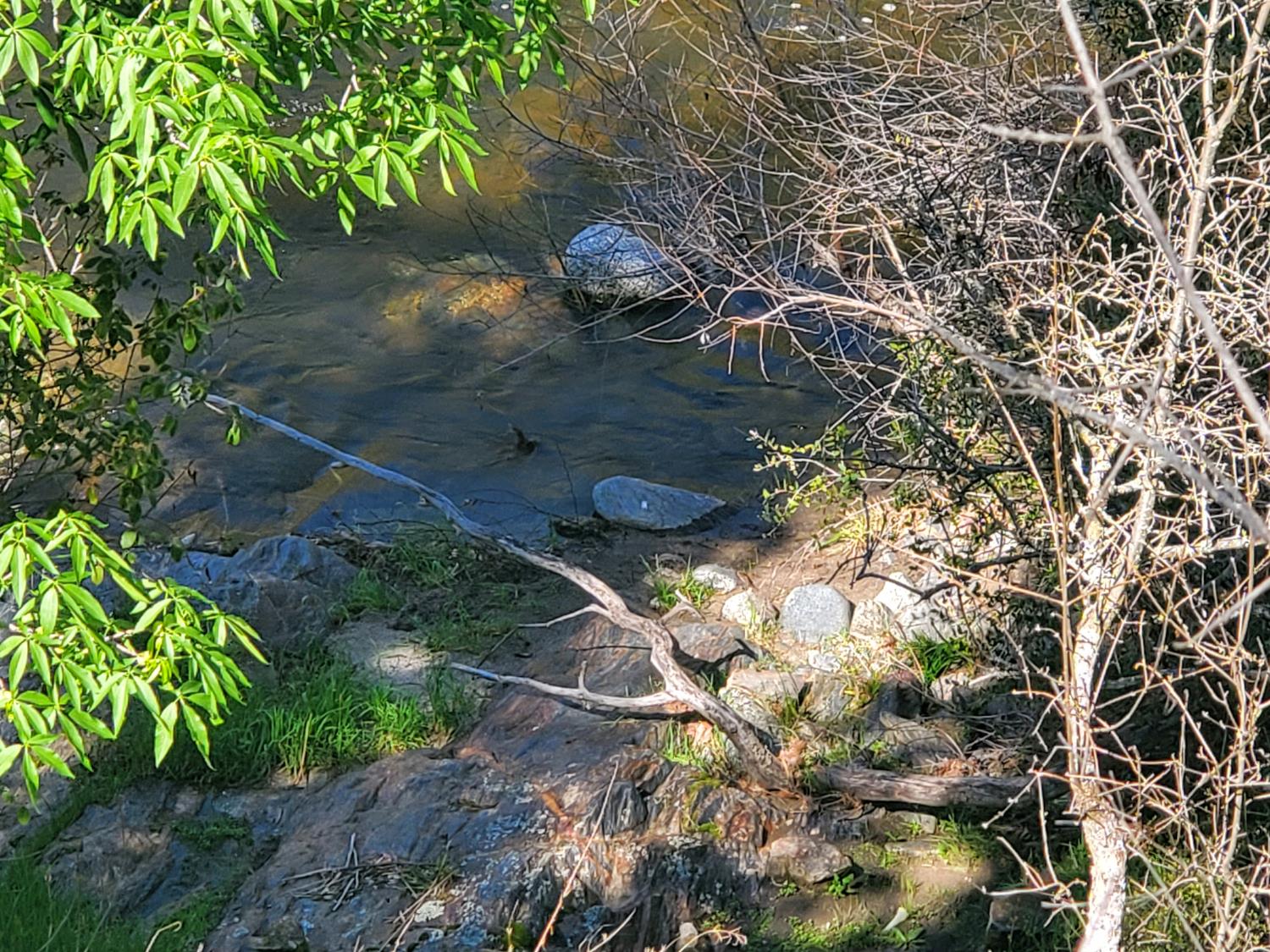 40 Trimmer Springs Rd, Miramonte, CA 93657