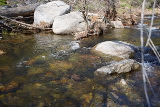 40 Trimmer Springs Rd, Miramonte, CA 93657