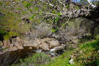 40 Trimmer Springs Rd, Miramonte, CA 93657