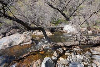 40 Trimmer Springs Rd, Miramonte, CA 93657