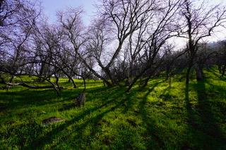 40 Trimmer Springs Rd, Miramonte, CA 93657