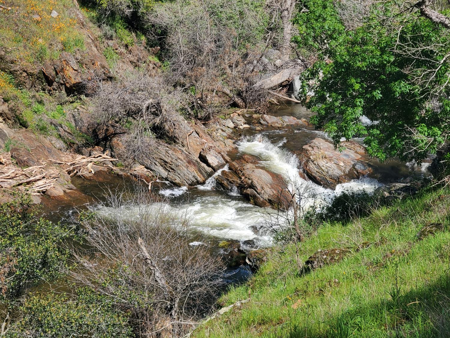 40 Trimmer Springs Rd, Miramonte, CA 93657