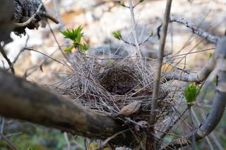 40 Trimmer Springs Rd, Miramonte, CA 93657