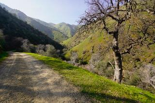 40 Trimmer Springs Rd, Miramonte, CA 93657