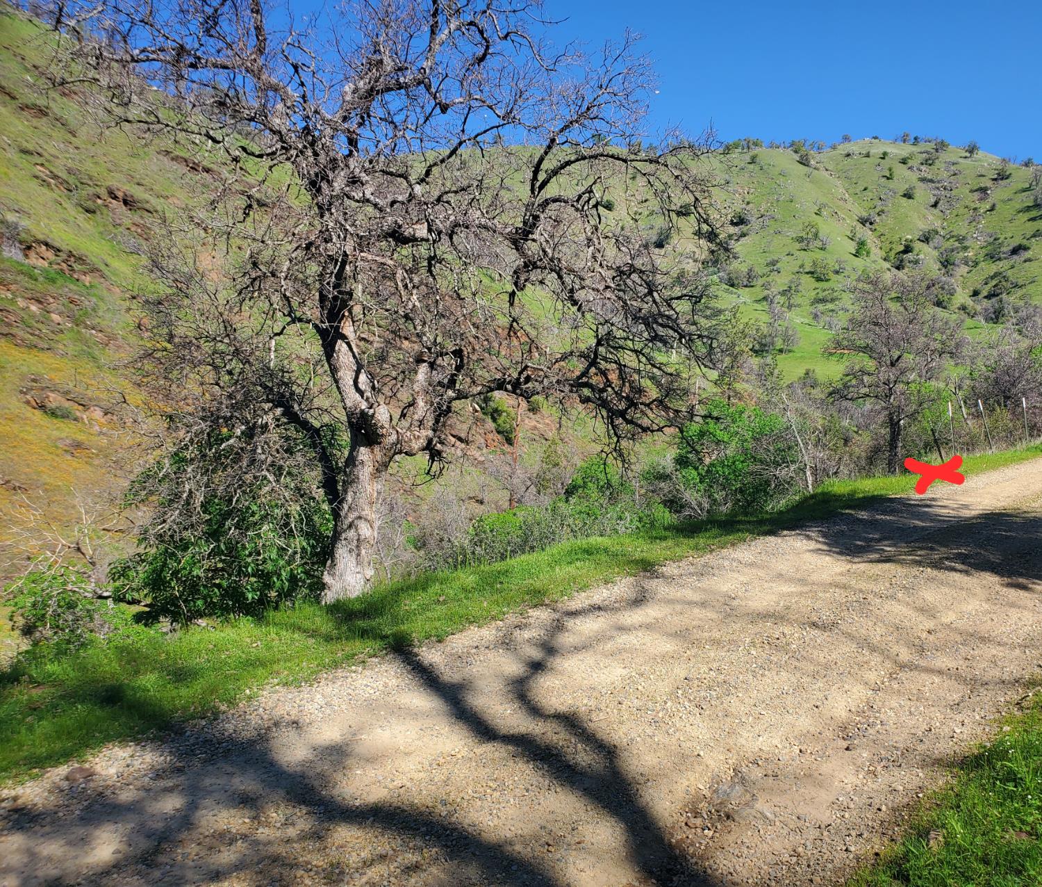 40 Trimmer Springs Rd, Miramonte, CA 93657