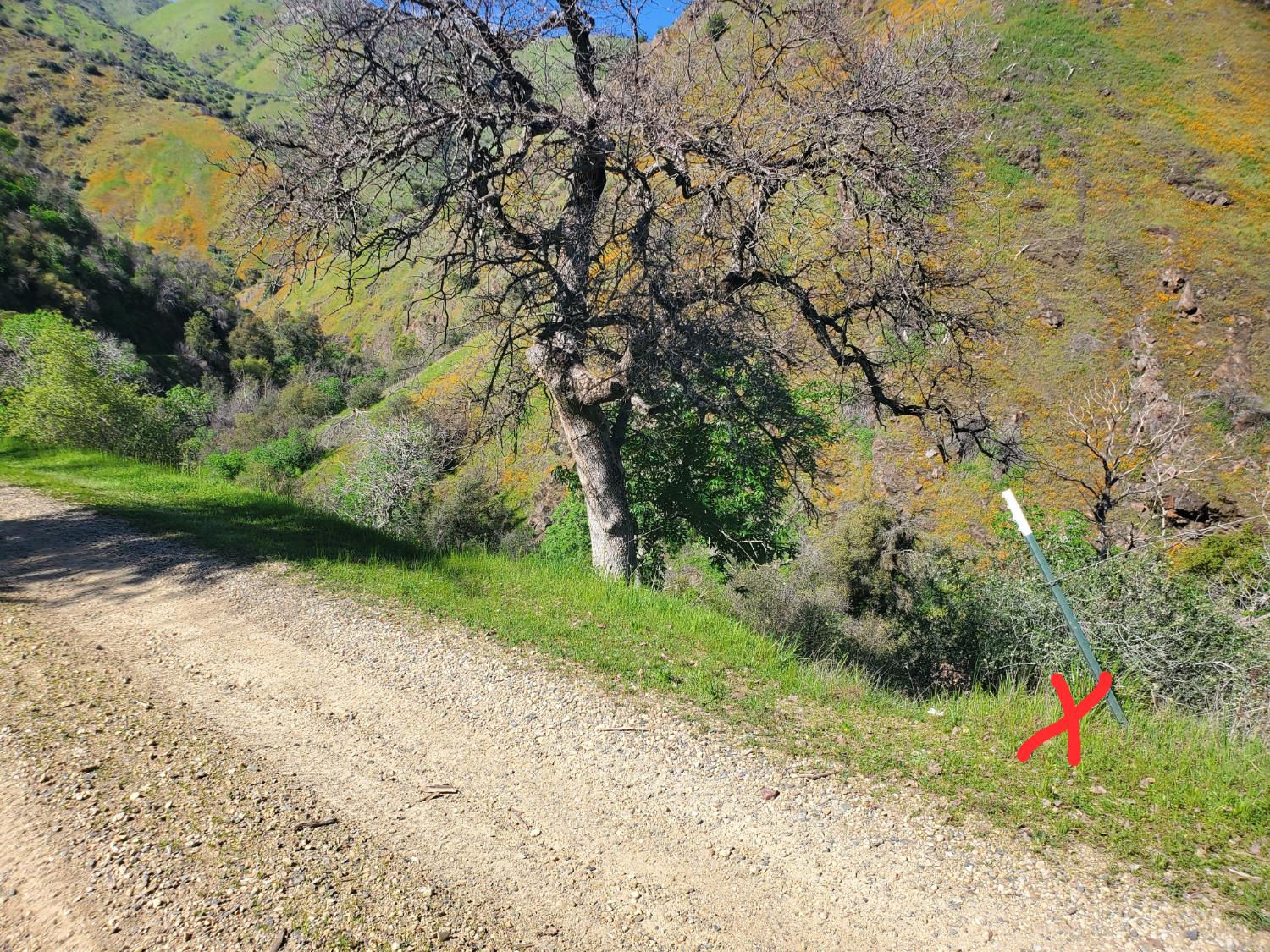 40 Trimmer Springs Rd, Miramonte, CA 93657