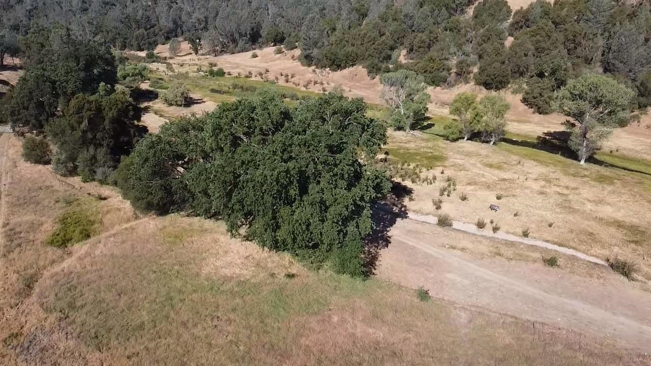 50871 Road 200, O neals, CA 93645
