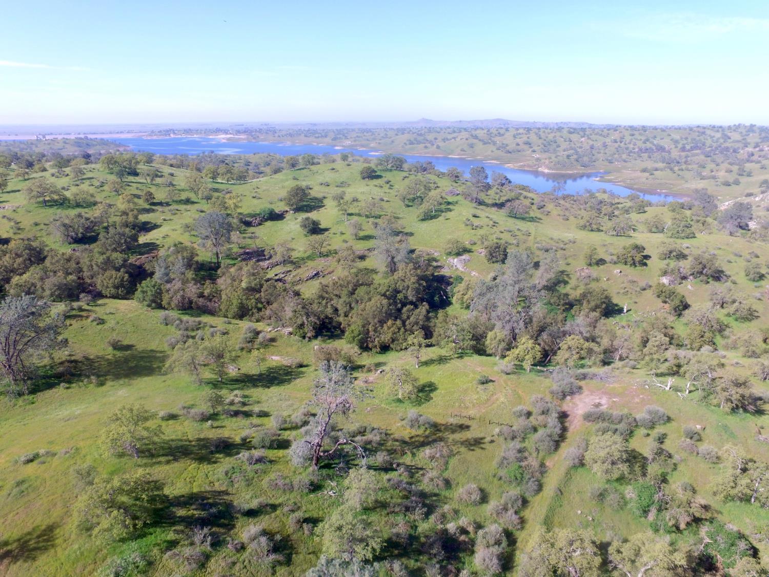 12 11.81 AC Road 400, Madera, CA 93636