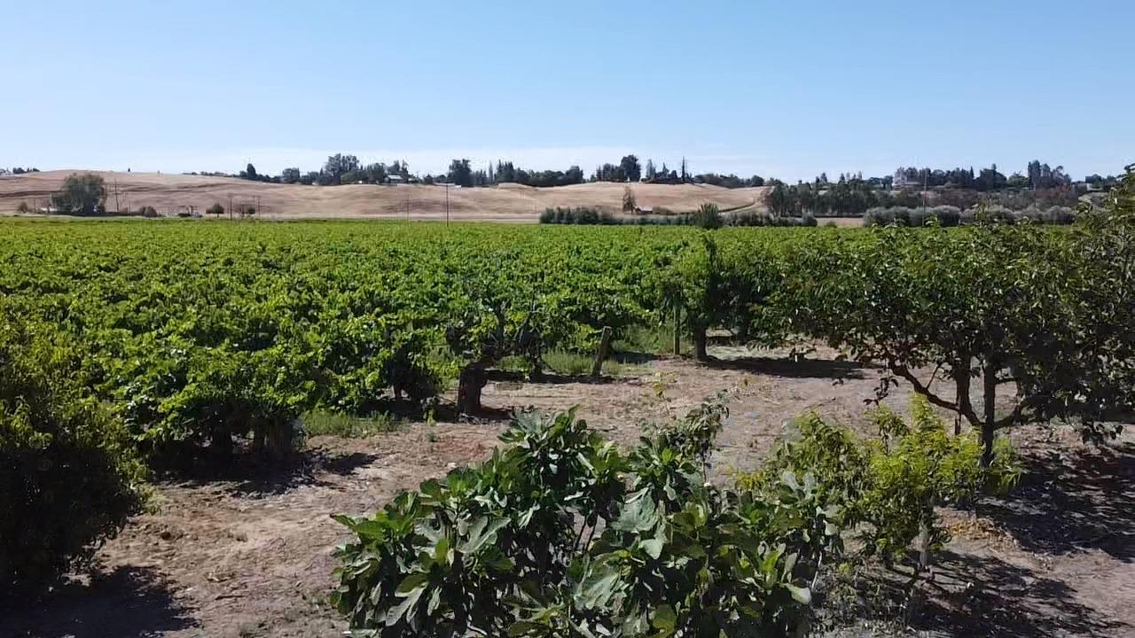 0 0 Friant Ave, Clovis, CA 93619