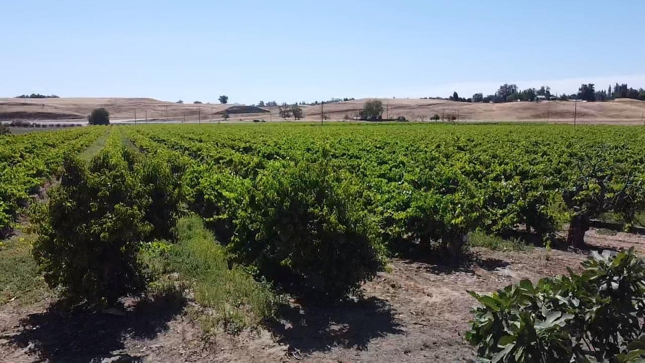 0 0 Friant Ave, Clovis, CA 93619