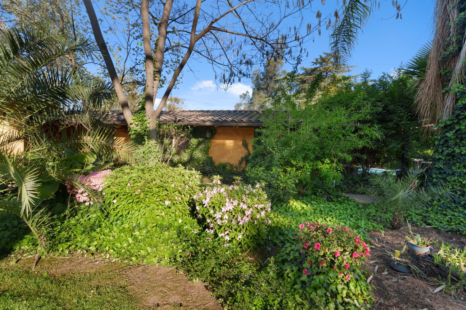 5151 N Van Ness Blvd, Fresno, CA 93711