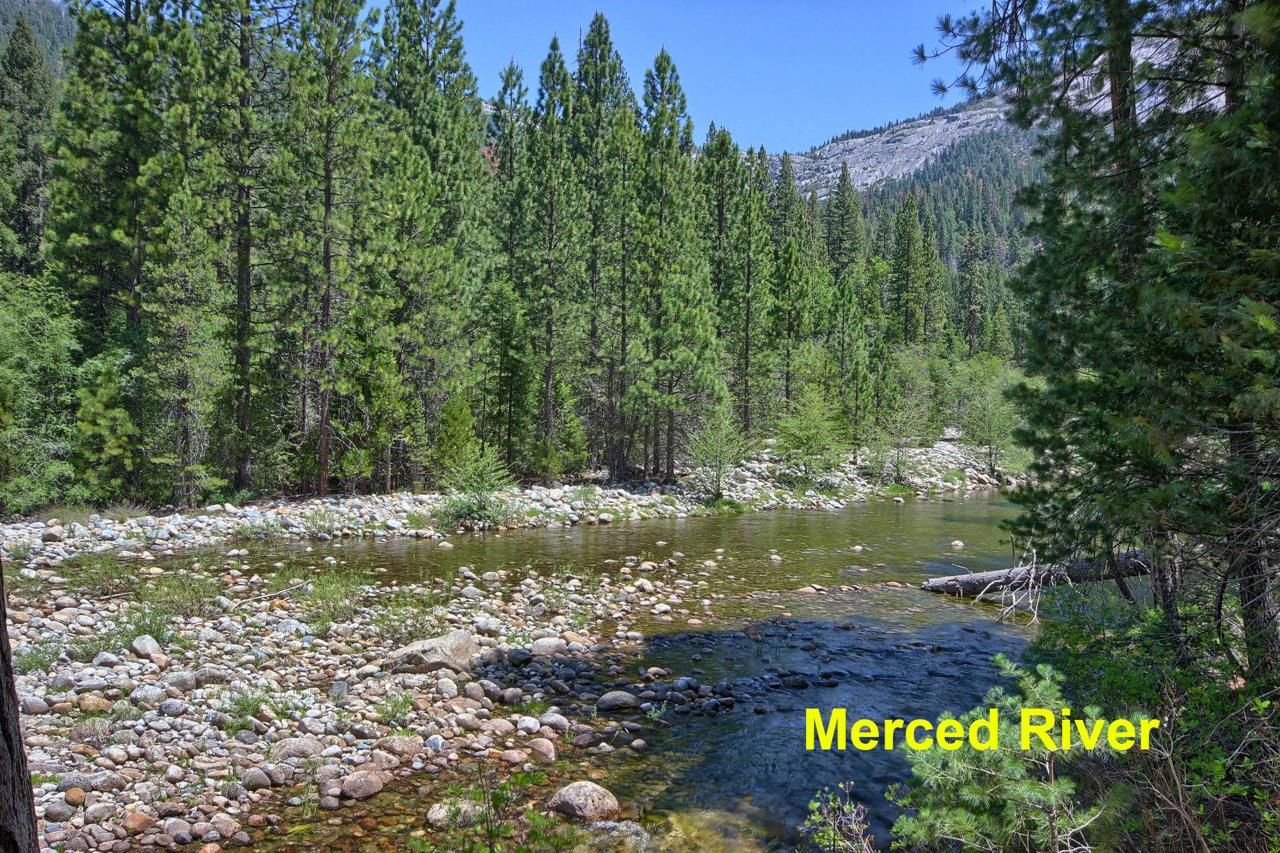 2628 W Bruce, Wawona, CA 95389