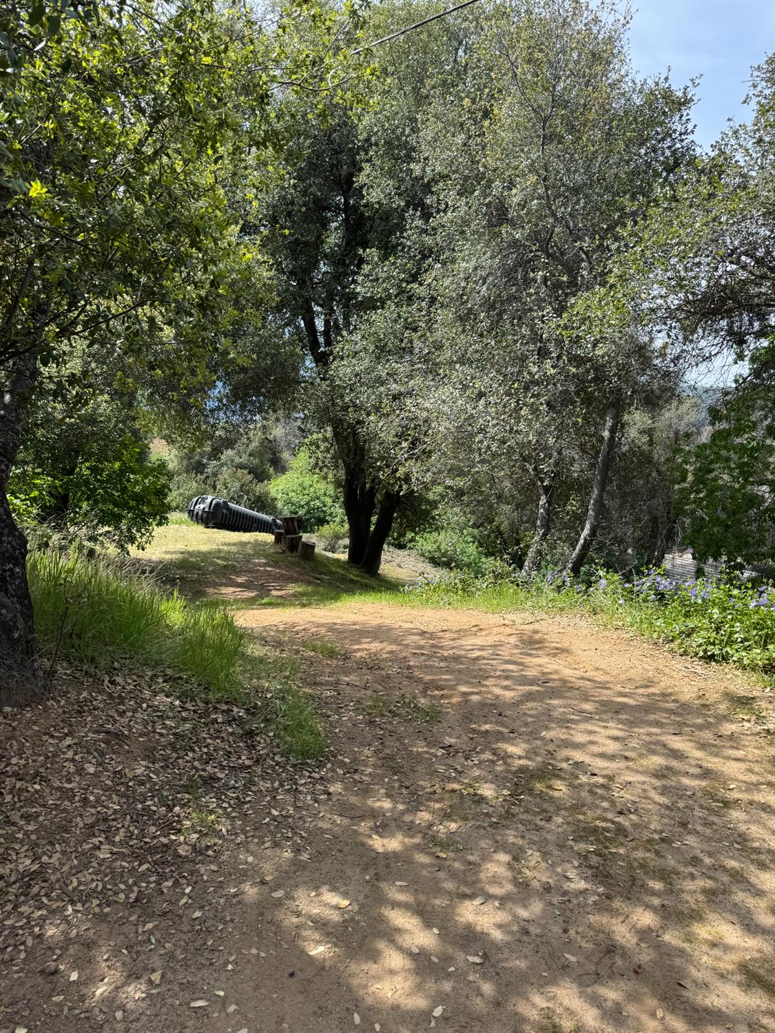 0 0 Shady Ln, Oakhurst, CA 93644