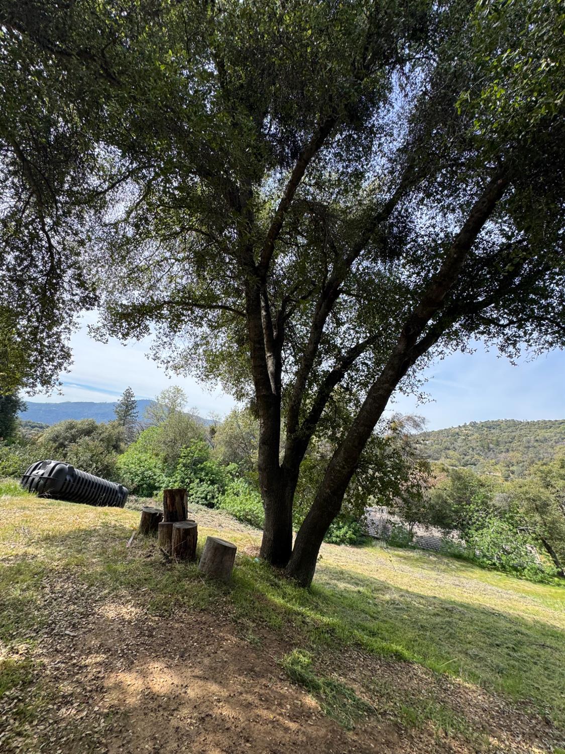 0 0 Shady Ln, Oakhurst, CA 93644