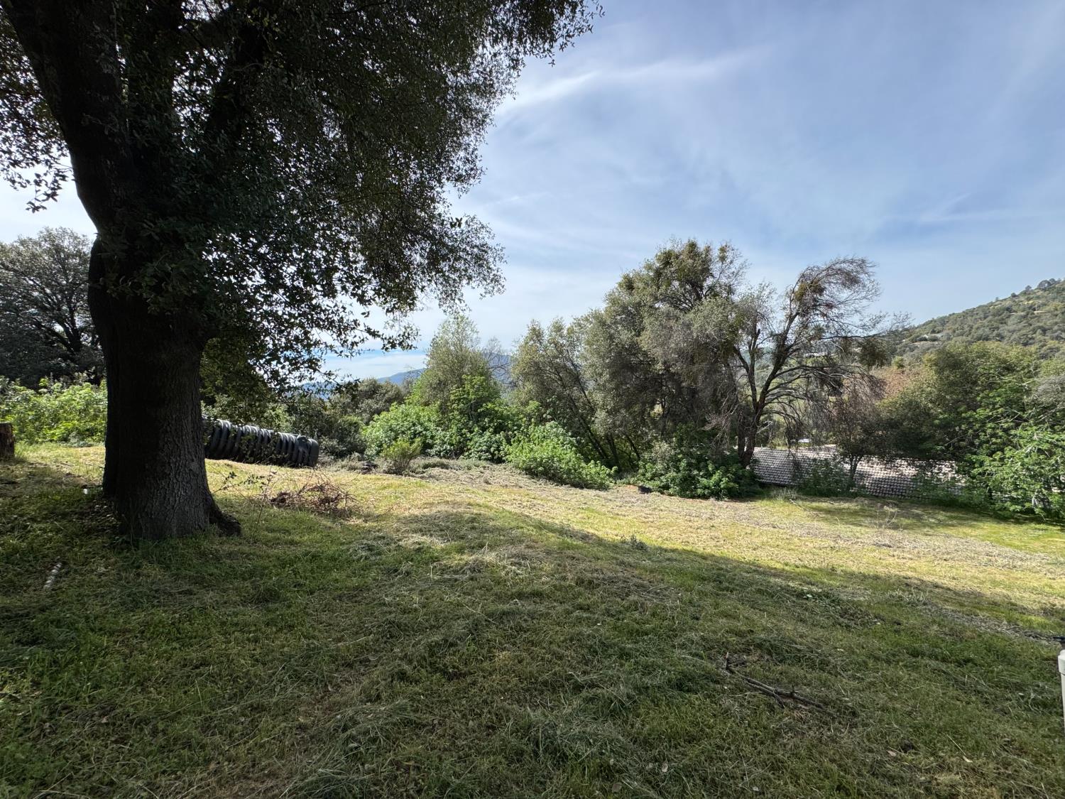 0 0 Shady Ln, Oakhurst, CA 93644