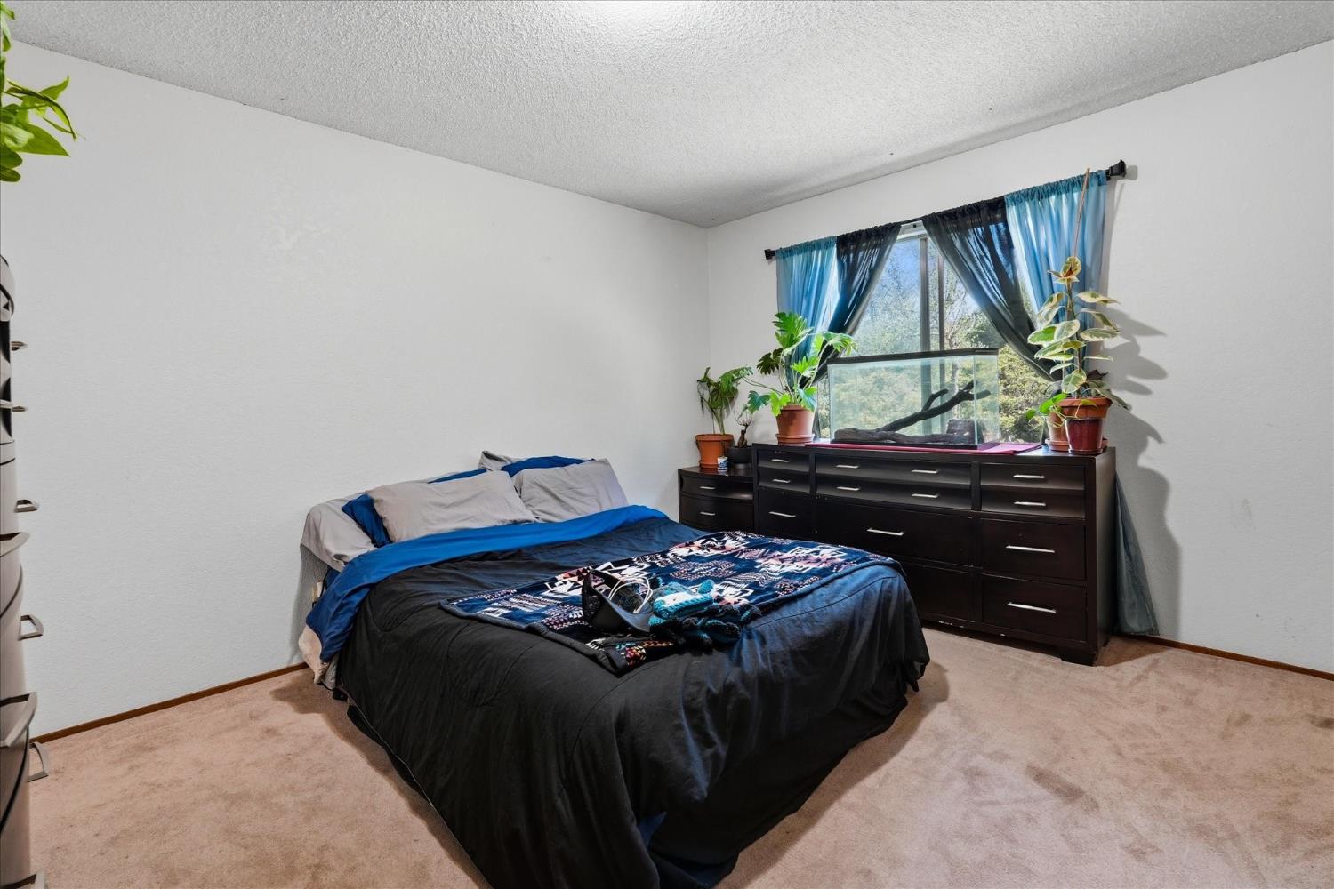 40888 Goldside Dr, Oakhurst, CA 93644