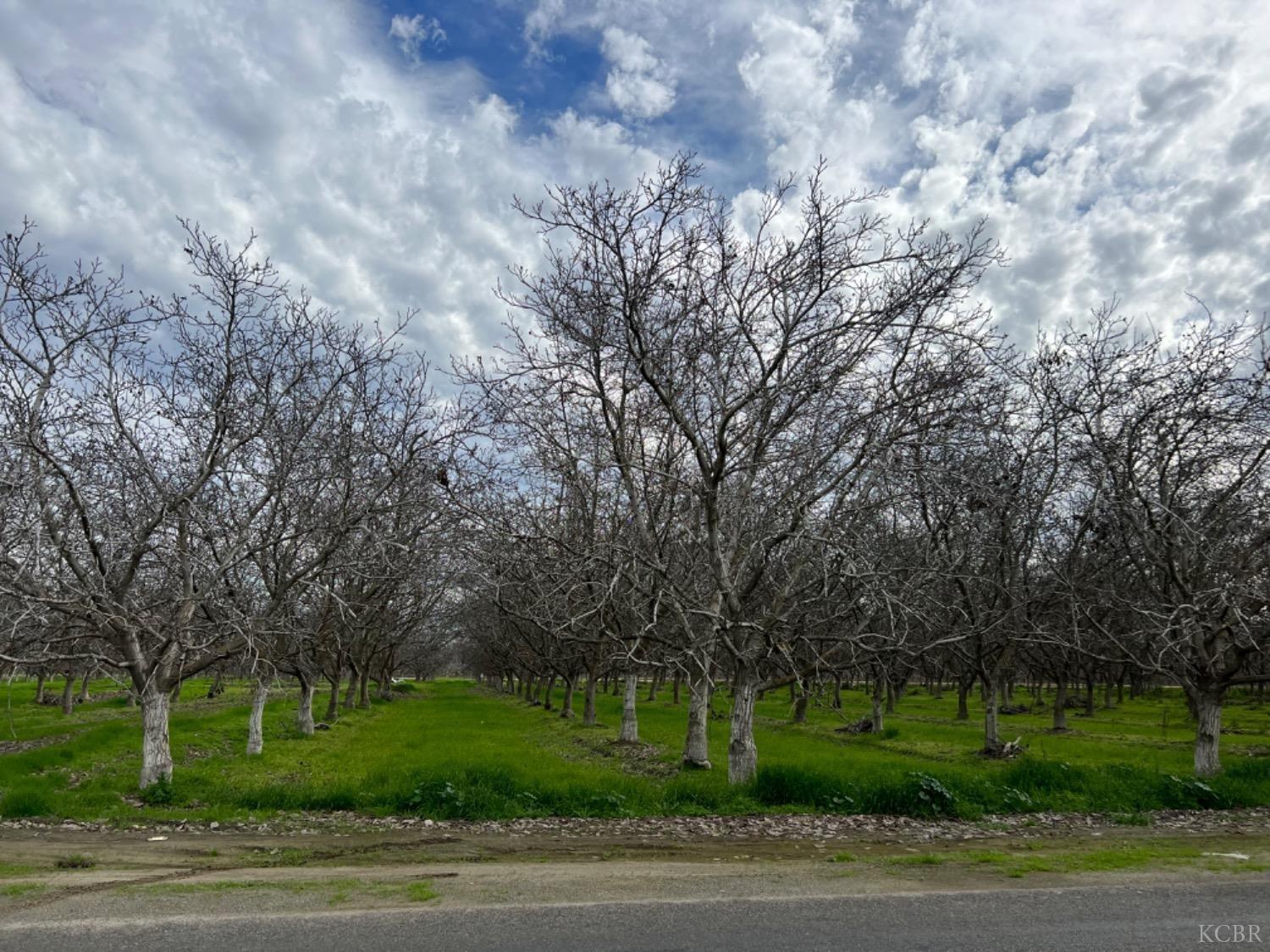 0 0 18 3/4 Ave, Lemoore, CA 93245