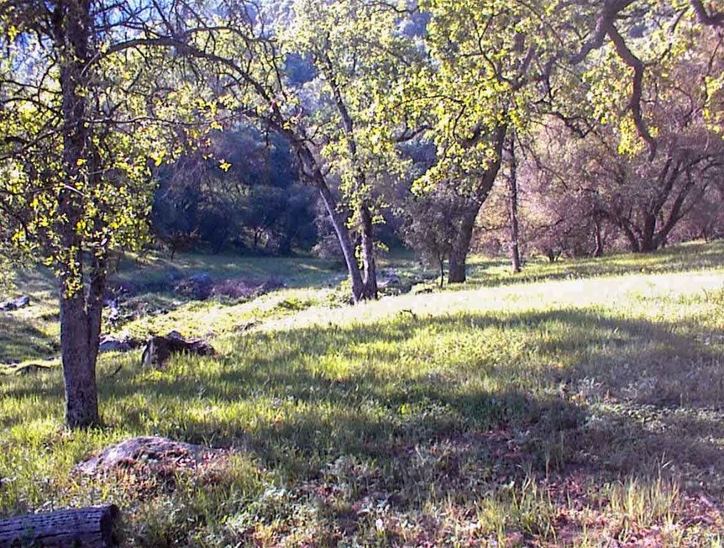 140 Ruth Hill Rd, Dunlap, CA 93621