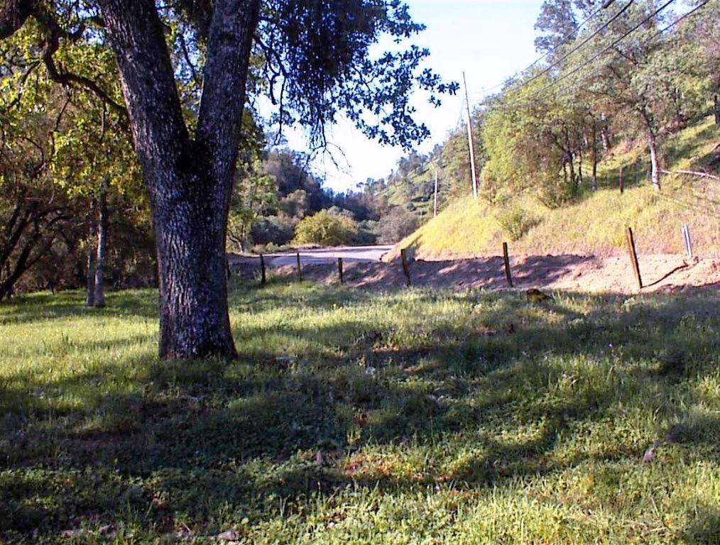 140 Ruth Hill Rd, Dunlap, CA 93621