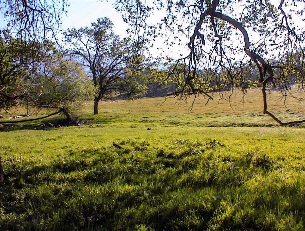 140 Ruth Hill Rd, Dunlap, CA 93621