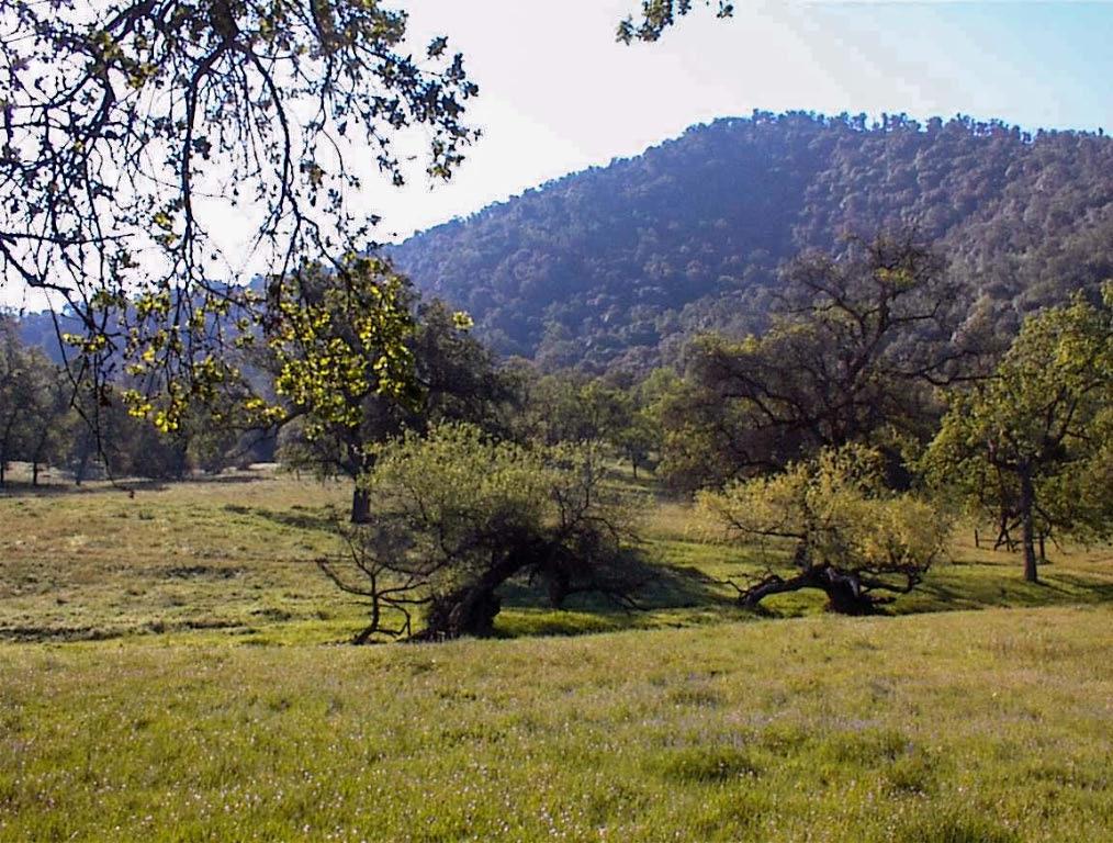 140 Ruth Hill Rd, Dunlap, CA 93621