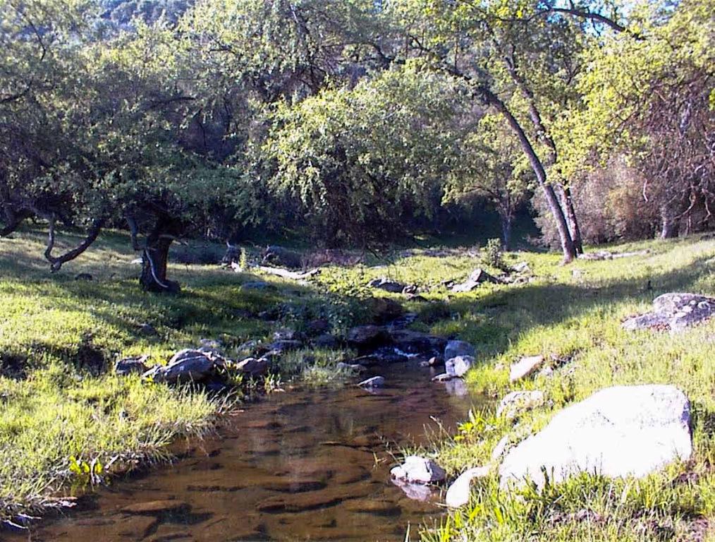 140 Ruth Hill Rd, Dunlap, CA 93621