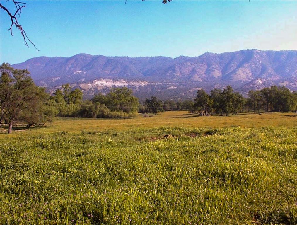 140 Ruth Hill Rd, Dunlap, CA 93621