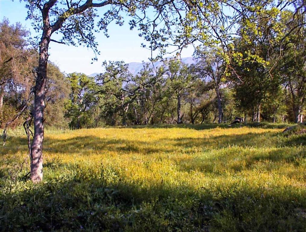 140 Ruth Hill Rd, Dunlap, CA 93621