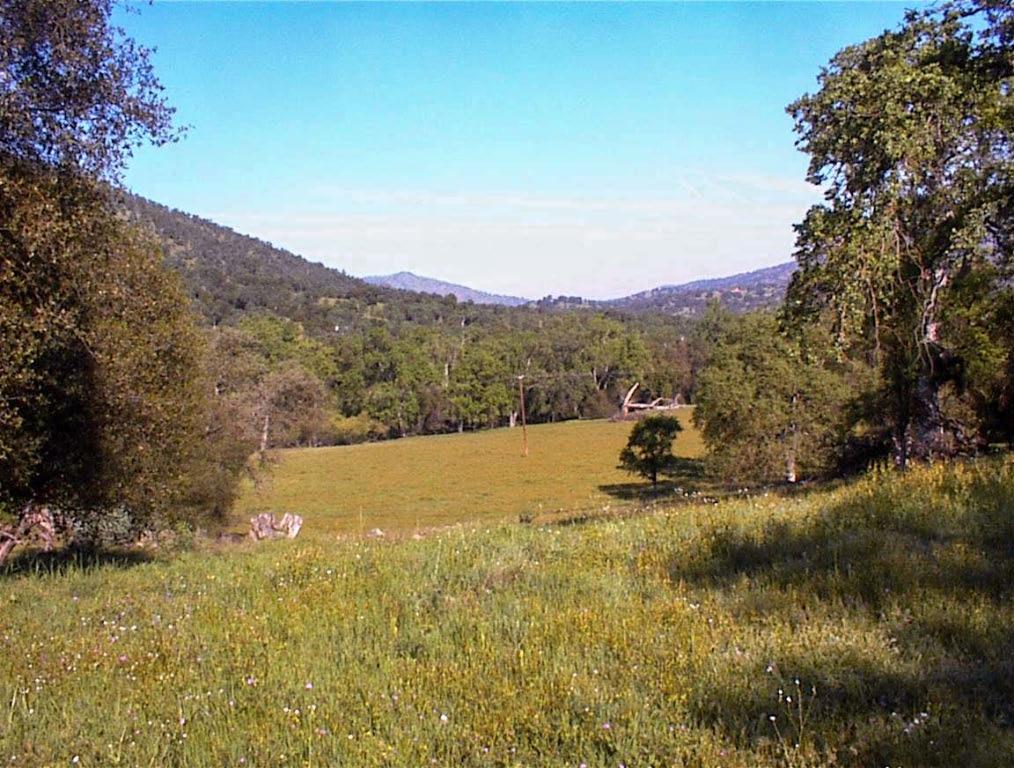 140 Ruth Hill Rd, Dunlap, CA 93621