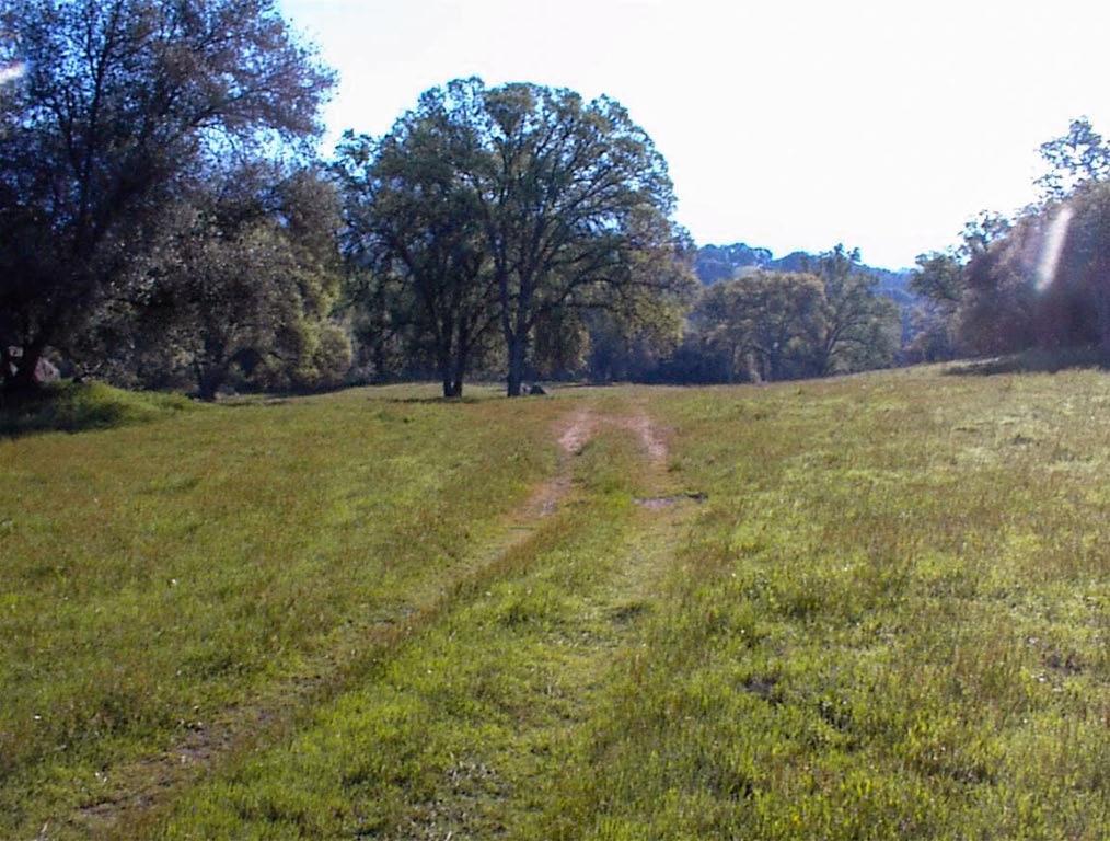 140 Ruth Hill Rd, Dunlap, CA 93621