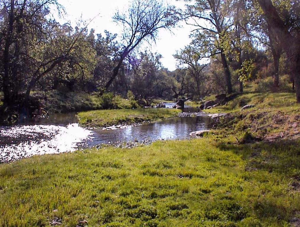 140 Ruth Hill Rd, Dunlap, CA 93621