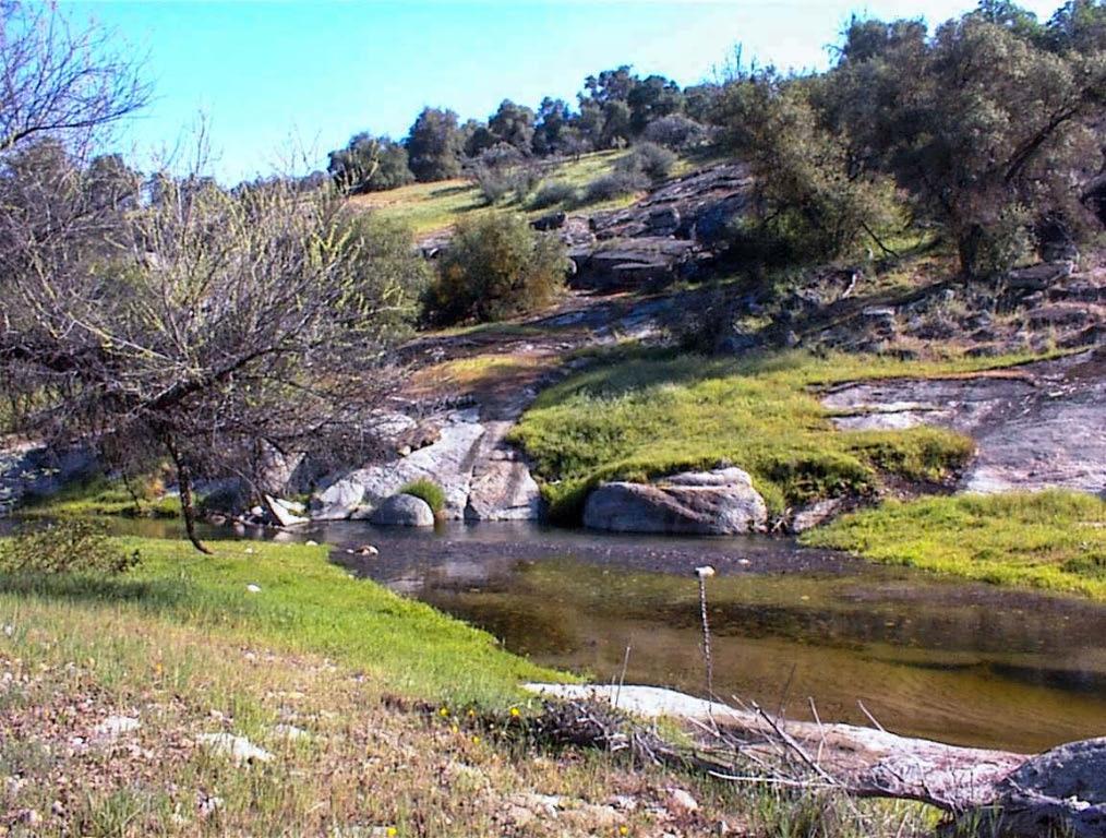 140 Ruth Hill Rd, Dunlap, CA 93621