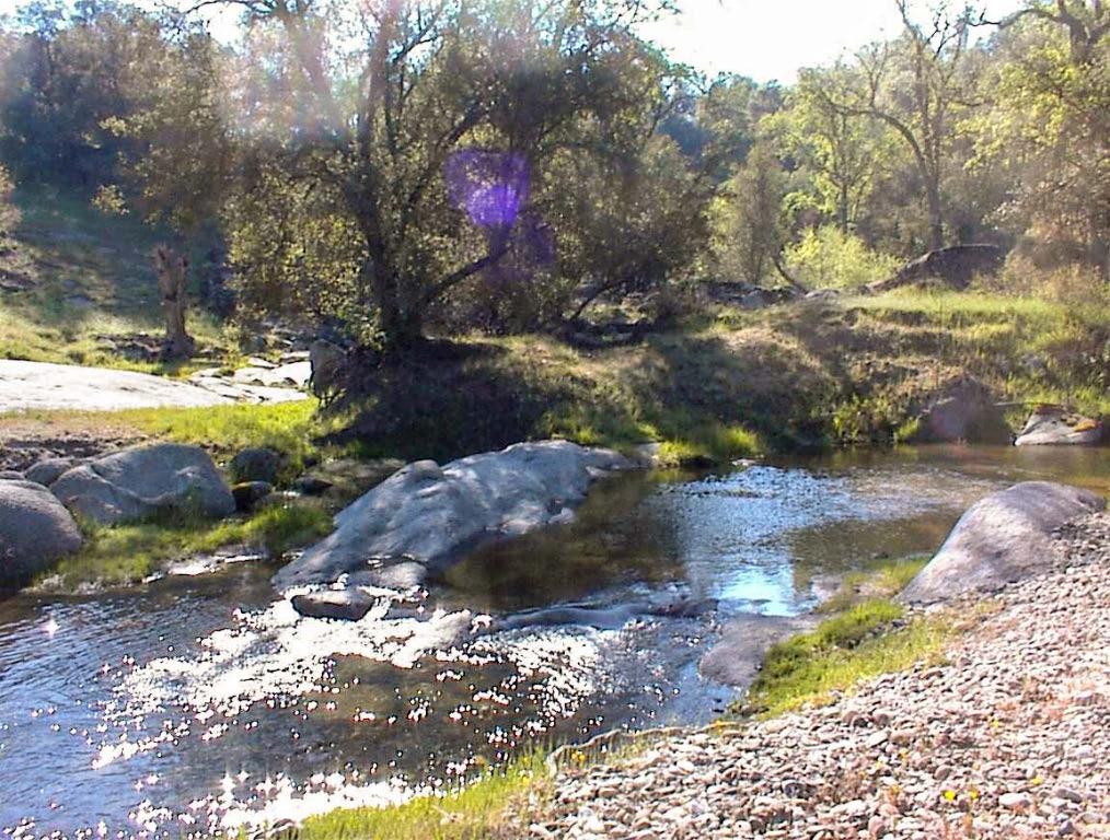 140 Ruth Hill Rd, Dunlap, CA 93621