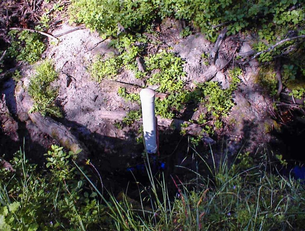 140 Ruth Hill Rd, Dunlap, CA 93621