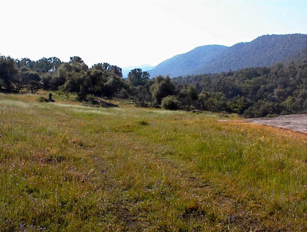 140 Ruth Hill Rd, Dunlap, CA 93621