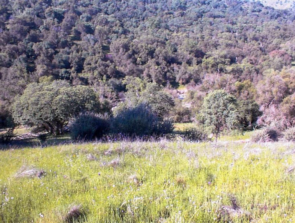 140 Ruth Hill Rd, Dunlap, CA 93621