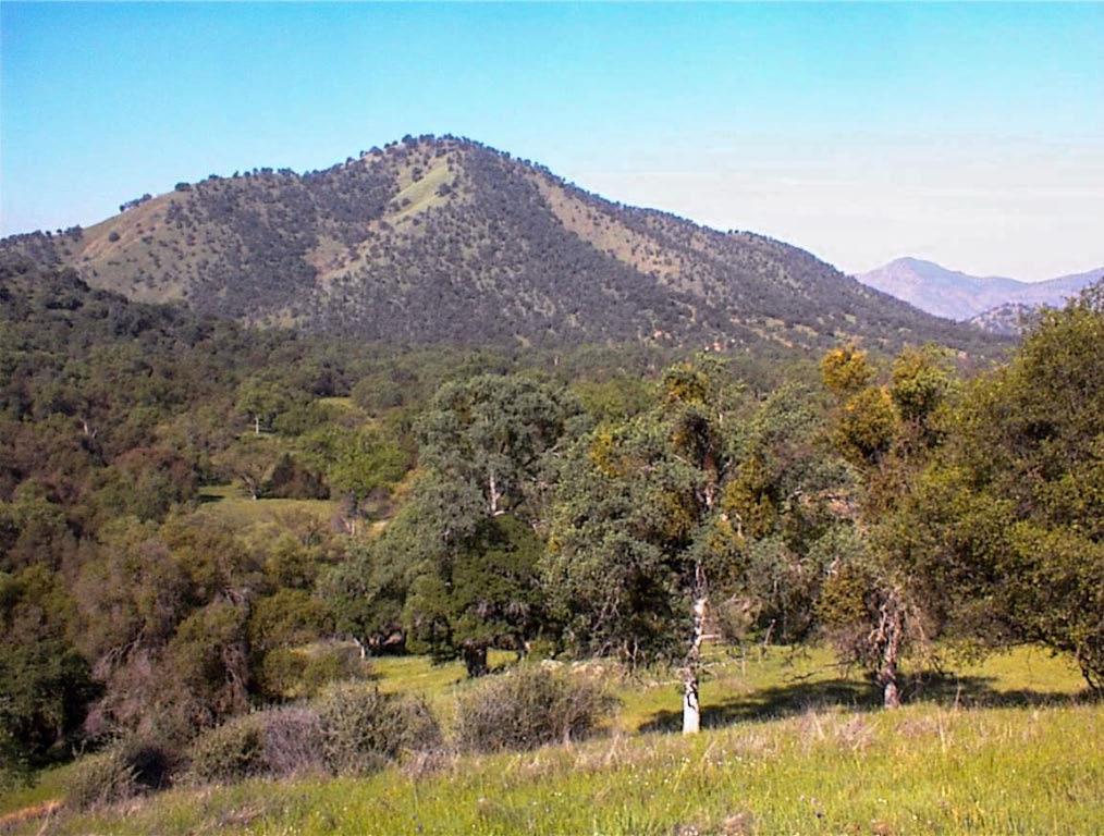 140 Ruth Hill Rd, Dunlap, CA 93621