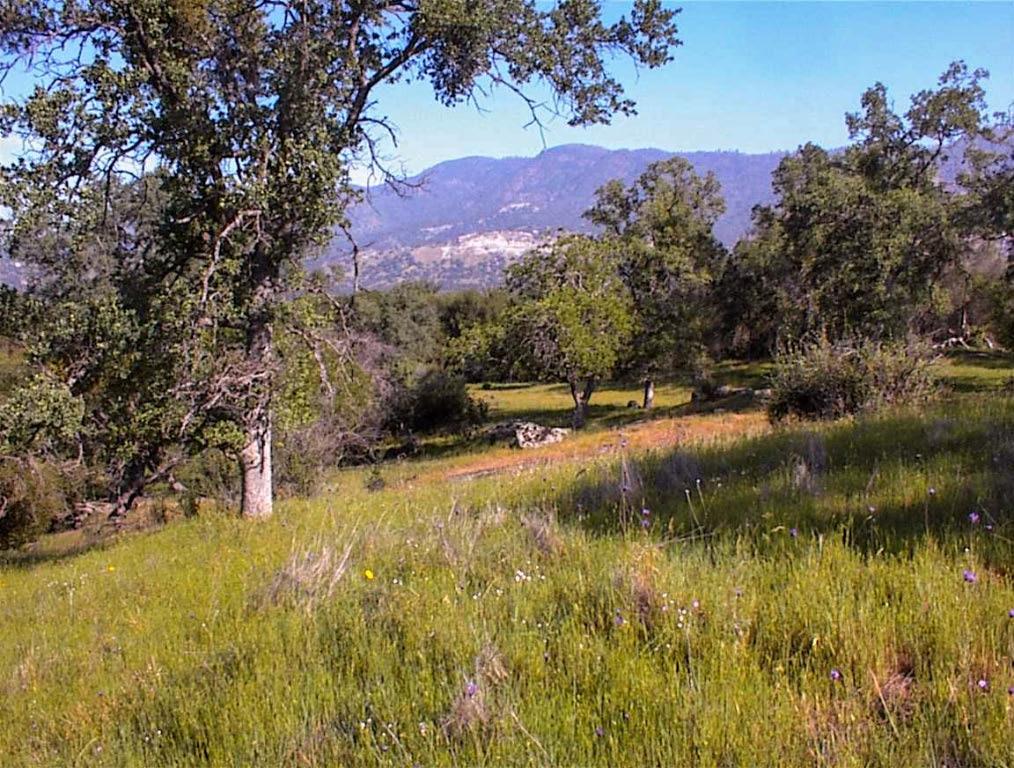 140 Ruth Hill Rd, Dunlap, CA 93621