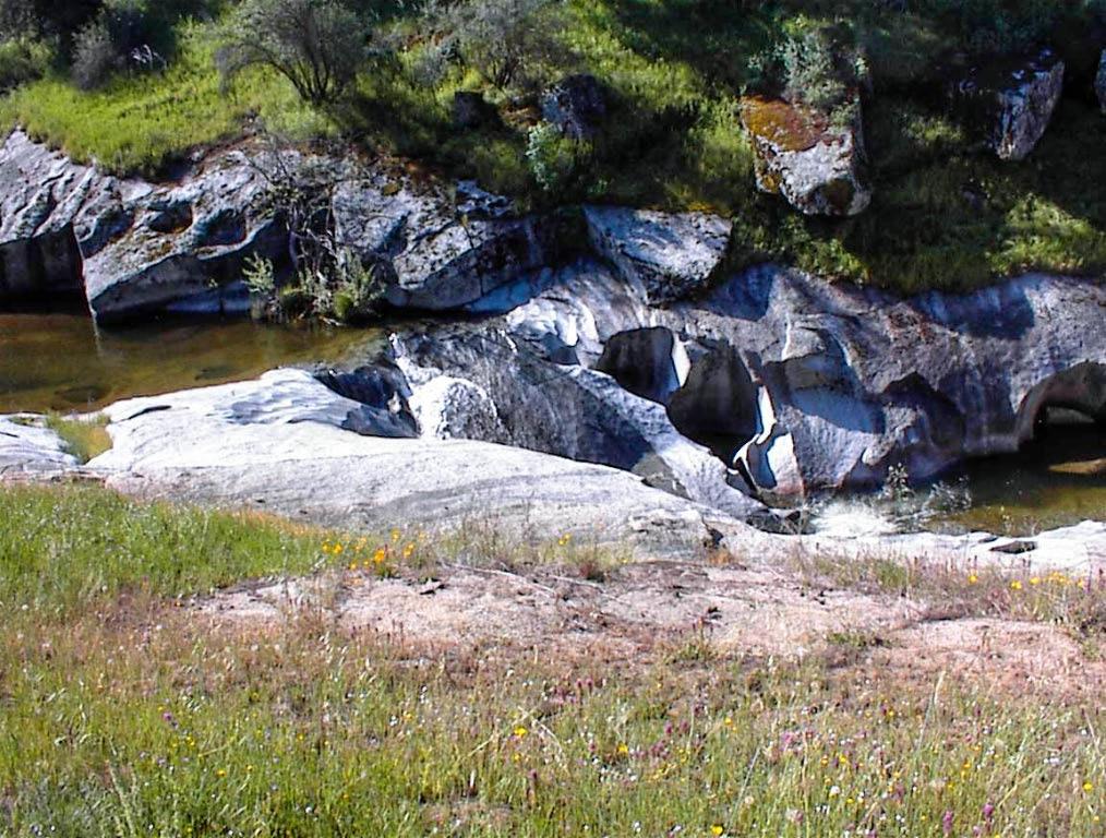 140 Ruth Hill Rd, Dunlap, CA 93621