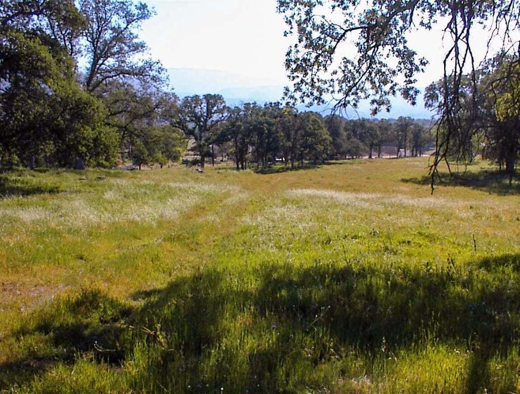 140 Ruth Hill Rd, Dunlap, CA 93621