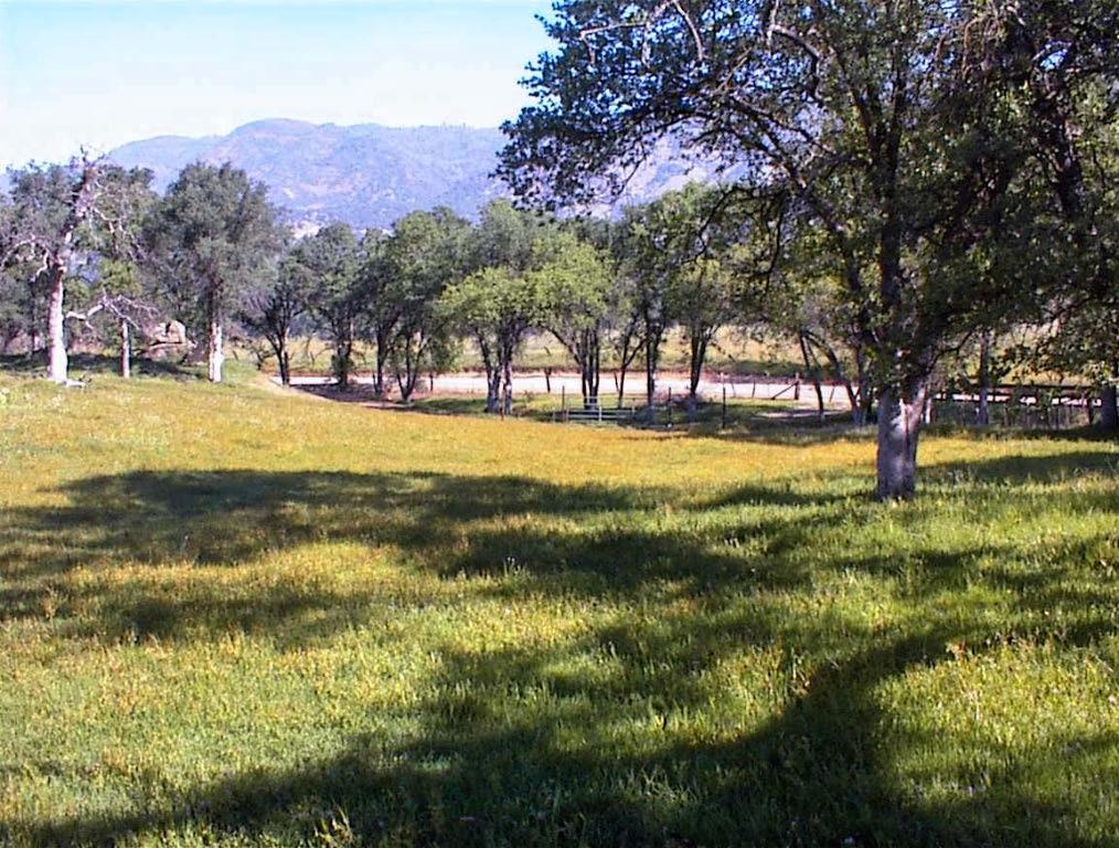 140 Ruth Hill Rd, Dunlap, CA 93621