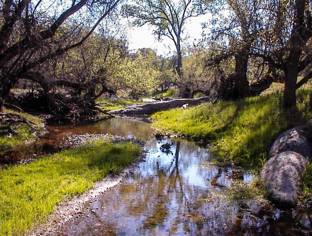 140 Ruth Hill Rd, Dunlap, CA 93621