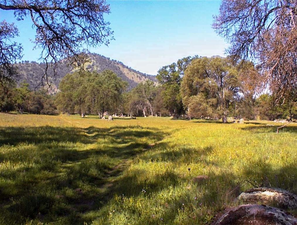 140 Ruth Hill Rd, Dunlap, CA 93621